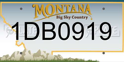 1DB0919 Montana License Plate