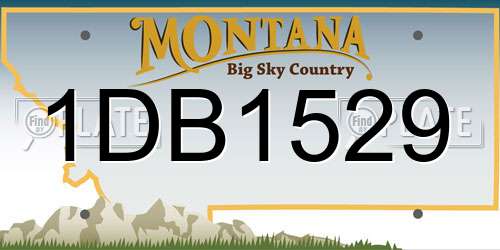 1DB1529 Montana License Plate