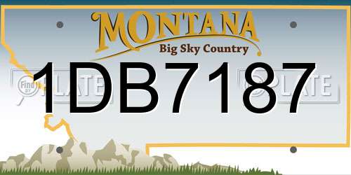 1DB7187 Montana License Plate