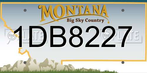 1DB8227 Montana License Plate