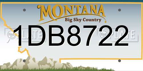 1DB8722 Montana License Plate