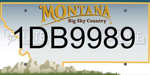 1DB9989 Montana License Plate