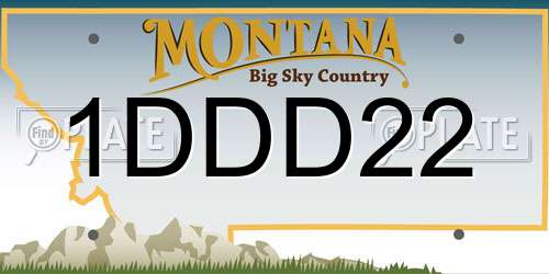 1DDD22 Montana License Plate