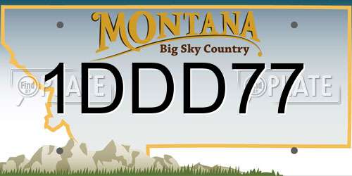1DDD77 Montana License Plate