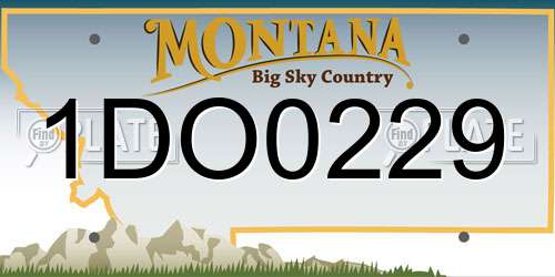 1DO0229 Montana License Plate