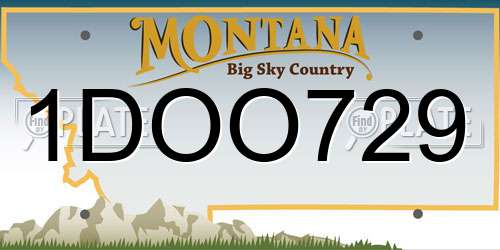 1DOO729 Montana License Plate