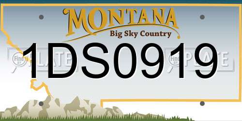 1DS0919 Montana License Plate