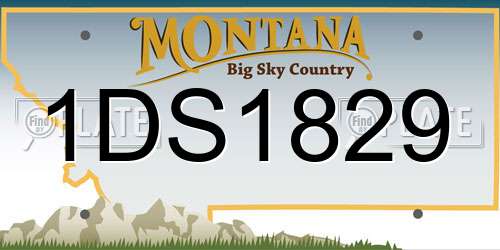 1DS1829 Montana License Plate