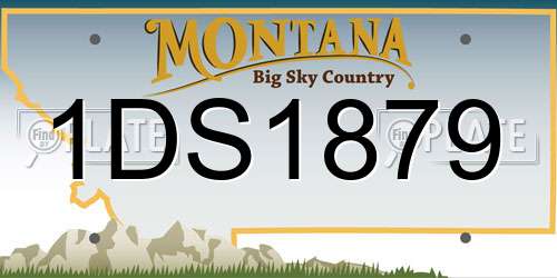 1DS1879 Montana License Plate