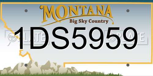 1DS5959 Montana License Plate