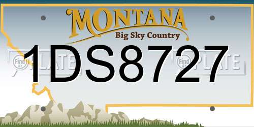 1DS8727 Montana License Plate