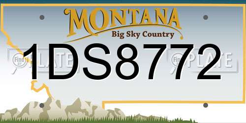 1DS8772 Montana License Plate