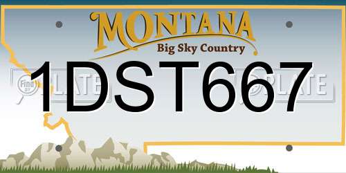 1DST667 Montana License Plate