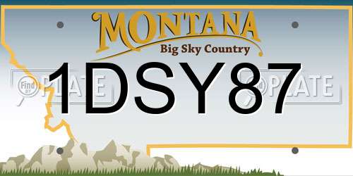 1DSY87 Montana License Plate