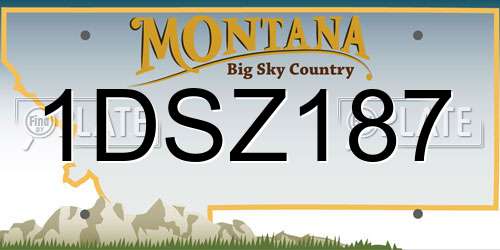 1DSZ187 Montana License Plate