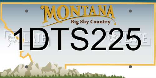 1DTS225 Montana License Plate