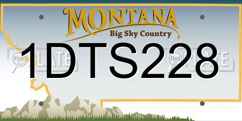 1DTS228 Montana License Plate