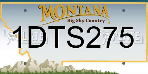 1DTS275 Montana License Plate