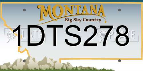 1DTS278 Montana License Plate
