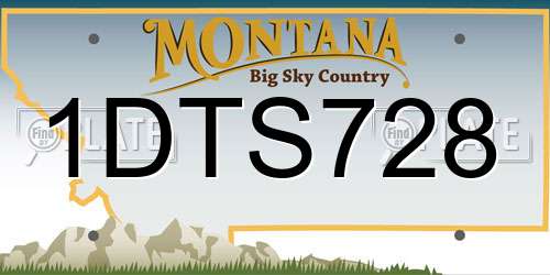 1DTS728 Montana License Plate