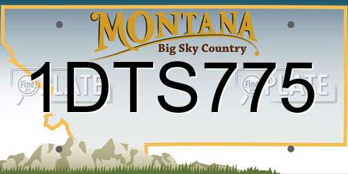 1DTS775 Montana License Plate