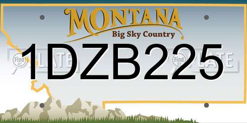 1DZB225 Montana License Plate