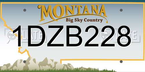1DZB228 Montana License Plate