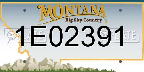 1E02391 Montana License Plate
