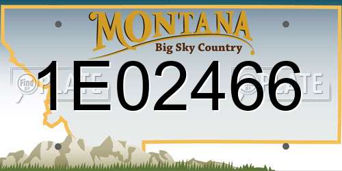 1E02466 Montana License Plate