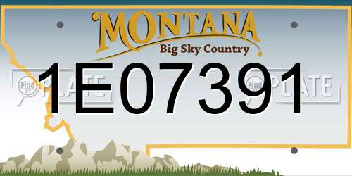 1E07391 Montana License Plate