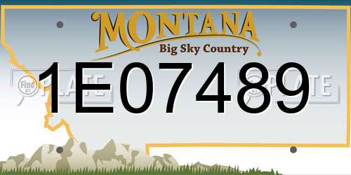 1E07489 Montana License Plate