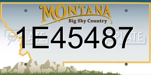 1E45487 Montana License Plate