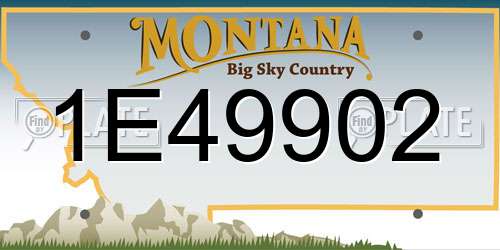 1E49902 Montana License Plate