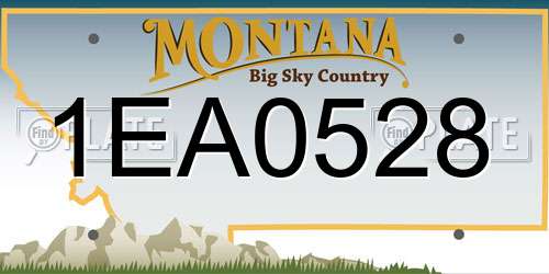1EA0528 Montana License Plate