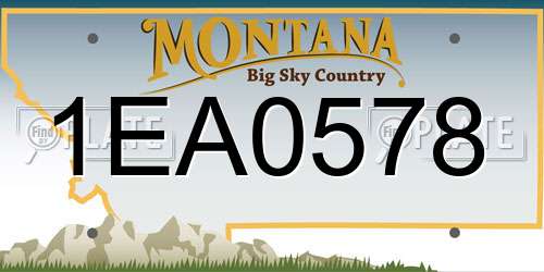 1EA0578 Montana License Plate