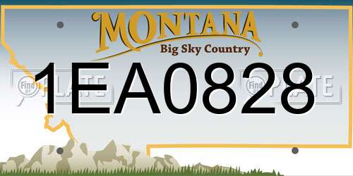 1EA0828 Montana License Plate