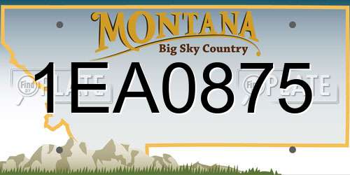 1EA0875 Montana License Plate