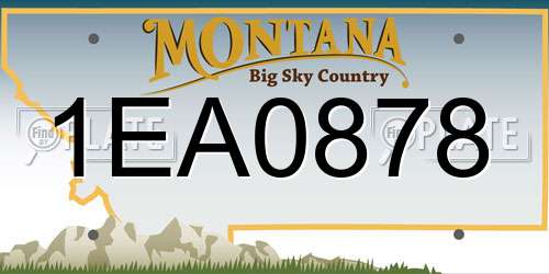1EA0878 Montana License Plate