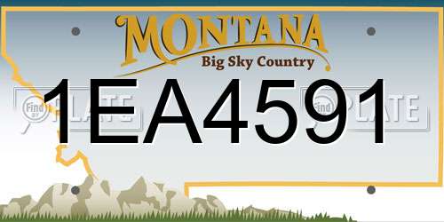 1EA4591 Montana License Plate