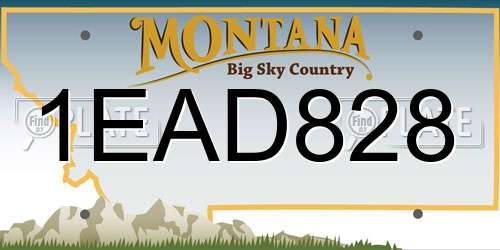 1EAD828 Montana License Plate