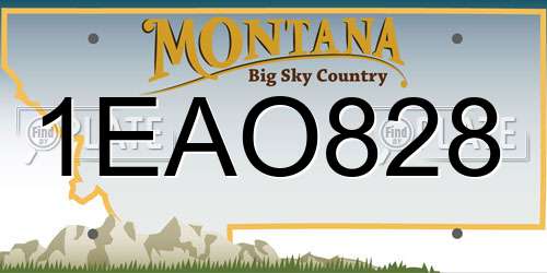 1EAO828 Montana License Plate