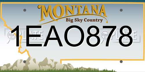 1EAO878 Montana License Plate
