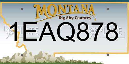 1EAQ878 Montana License Plate
