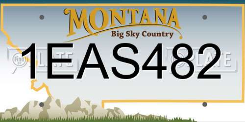 1EAS482 Montana License Plate