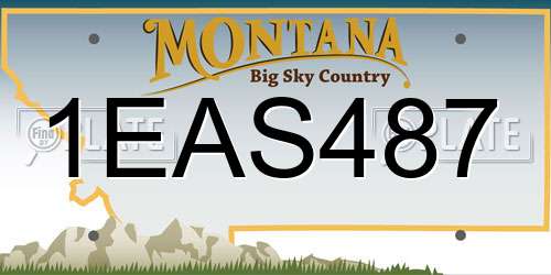1EAS487 Montana License Plate