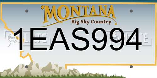1EAS994 Montana License Plate