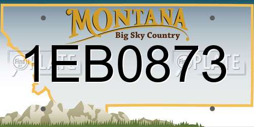 1EB0873 Montana License Plate