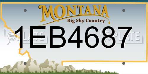 1EB4687 Montana License Plate