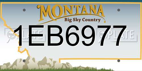 1EB6977 Montana License Plate