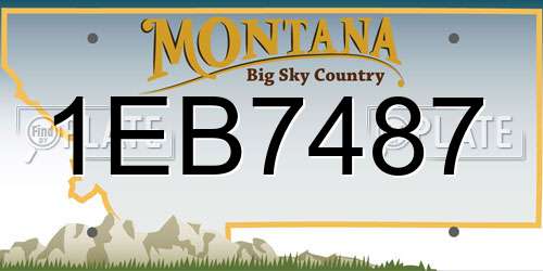 1EB7487 Montana License Plate